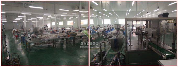 紅棗木耳湯包裝機,給袋式速食粥包裝機