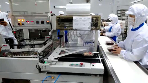 快餐盒熱收縮包裝機